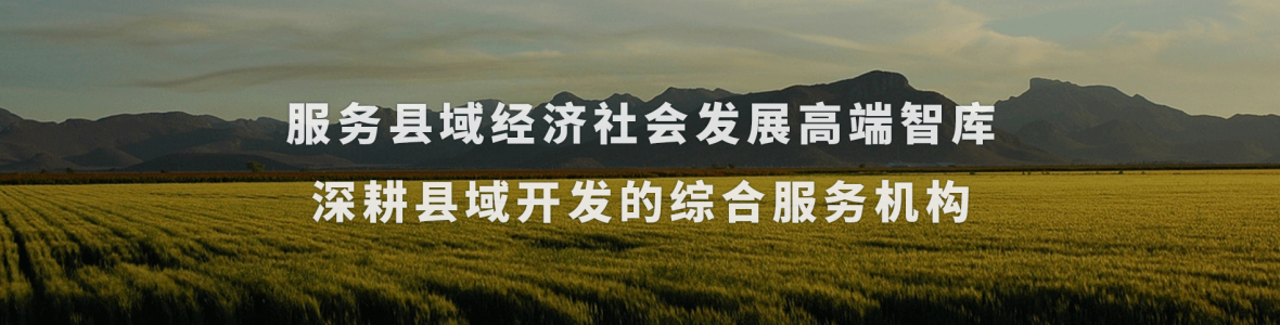 服务县域经济社会发展高端智库深耕县域开发的综合服务机构