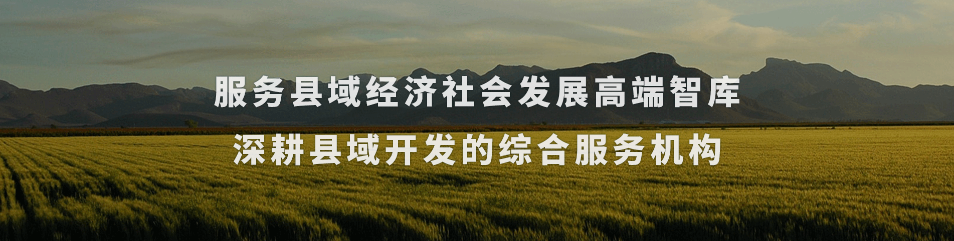 轮播图2